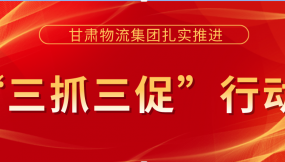  真抓實(shí)干促落實(shí)  踔厲奮發(fā)謀發(fā)展 --甘肅物流集團(tuán)“三抓三促”行動(dòng)工作綜述